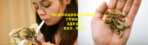 соль ск Коряжма