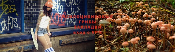 стафф Навашино